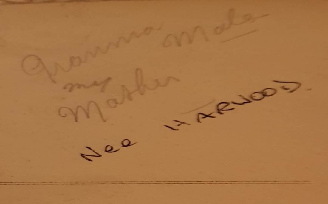 A close-up of a paper

Description automatically generated